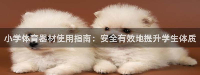 耀世团长：小学体育器材使用指南：安全有效地提升学生体