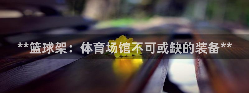 耀世娱乐是什么平台：**篮球架：体育场馆不可或缺的装