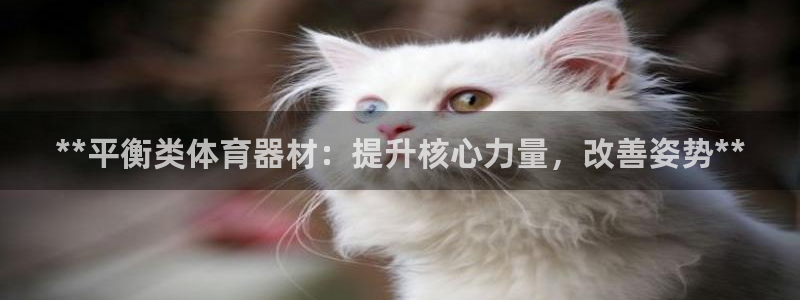 耀世娱乐含山：**平衡类体育器材：提升核心力量，改善