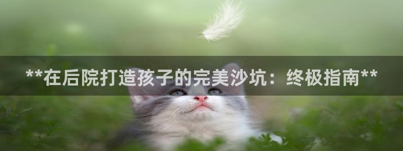 耀世平台先 585341 耀世：**在后院打造孩子的