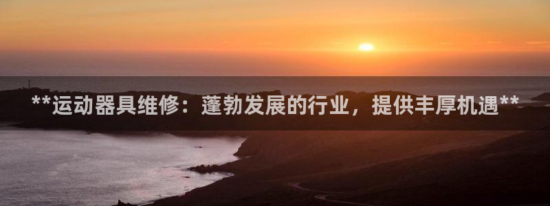 耀世平台会员中心在哪：**运动器具维修：蓬勃发展的行