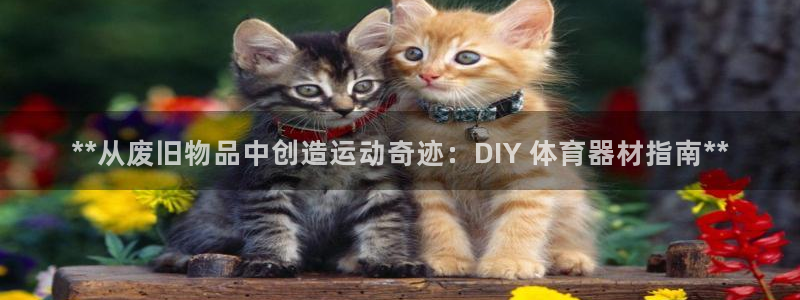 耀世娱乐平台官网下载：**从废旧物品中创造运动奇迹：