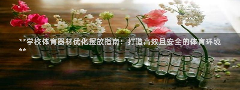 耀世娱乐挂机教程视频：**学校体育器材优化摆放指南：