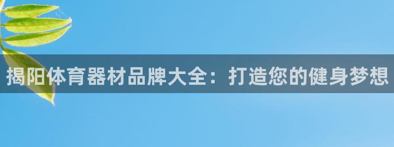 耀世娱乐注册开户流程：揭阳体育器材品牌大全：打造您的