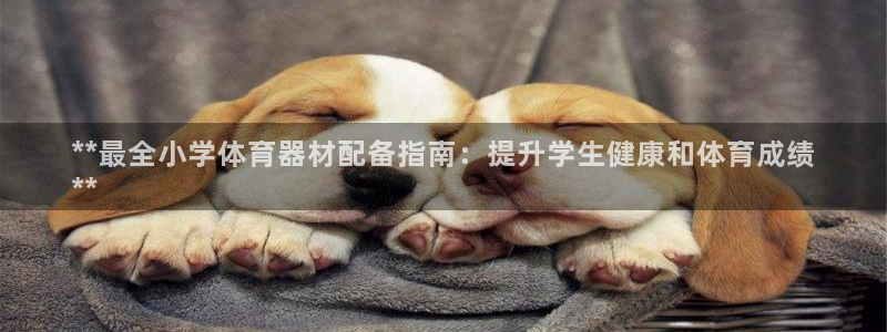 耀世娱乐挂机脚本：**最全小学体育器材配备指南：提升