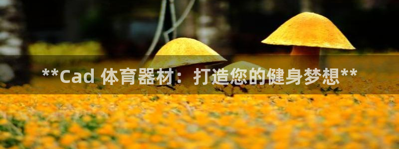 耀世金生产品好吗：**Cad 体育器材：打造您的健身
