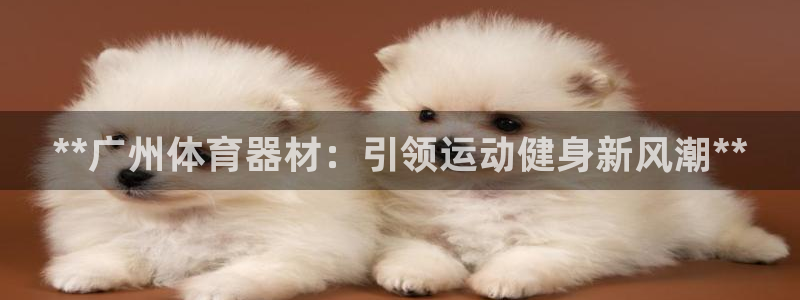 耀世平台总代理电话：**广州体育器材：引领运动健身新