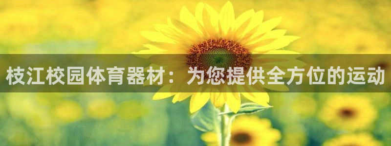 耀世娱乐挂机怎么玩：枝江校园体育器材：为您提供全方位