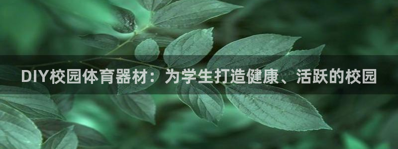 耀世平台注册步骤图片：DIY校园体育器材：为学生打造