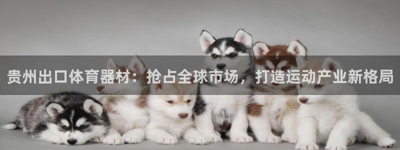 耀世挑战第三关怎么打：贵州出口体育器材：抢占全球市场