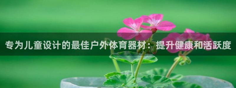 耀世集团耀宗：专为儿童设计的最佳户外体育器材：提升健