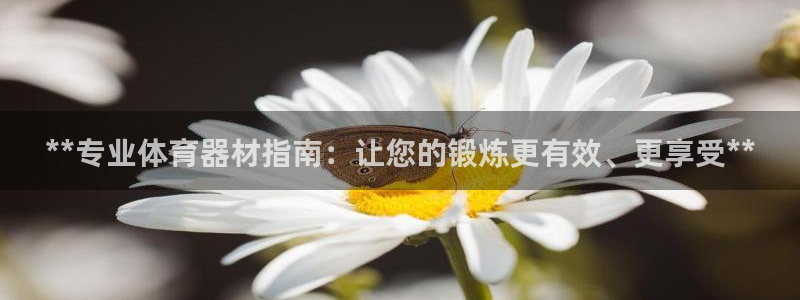 耀世微光 歌词：**专业体育器材指南：让您的锻炼更有