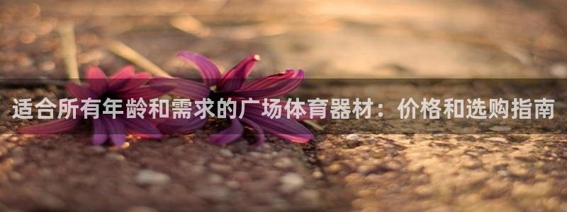 耀世集团罗文斌：适合所有年龄和需求的广场体育器材：价