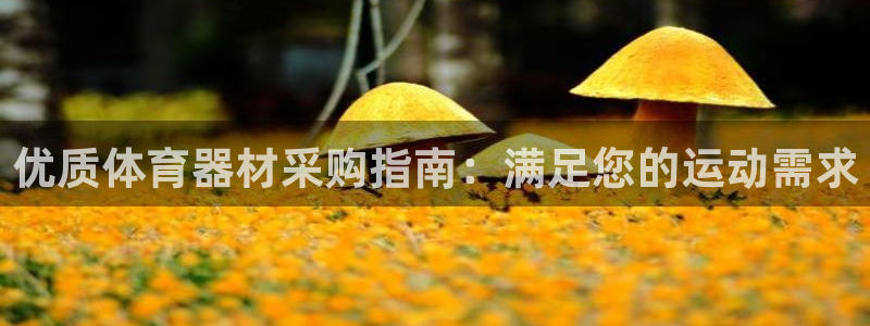耀世娱乐注册开户：优质体育器材采购指南：满足您的运动