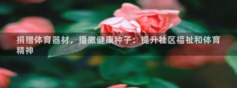 耀世平台易 411031 耀世：捐赠体育器材，播撒健