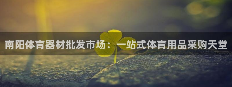 耀世挑战怎么过：南阳体育器材批发市场：一站式体育用品