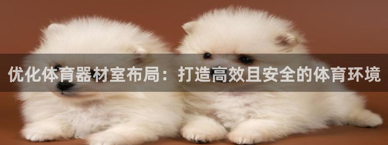 耀世而出：优化体育器材室布局：打造高效且安全的体育环