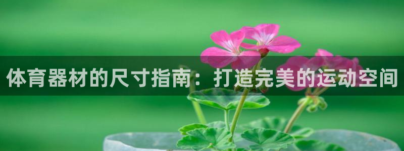 耀世国际平台正规吗可信吗知乎：体育器材的尺寸指南：打
