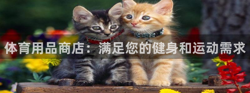 耀世平台面 411O31 平台：体育用品商店：满足您