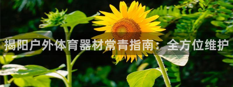 耀世平台有很多登录地址吗：揭阳户外体育器材常青指南：