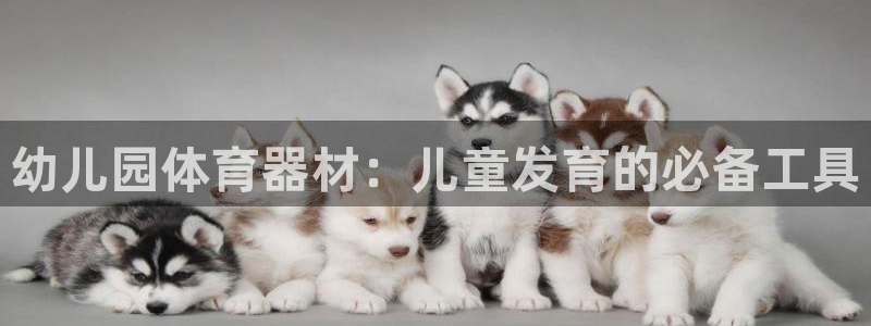 耀世集团视频介绍：幼儿园体育器材：儿童发育的必备工具
