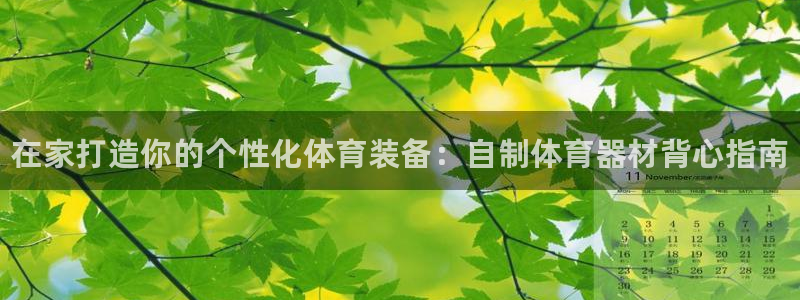 耀世娱乐是不是很黑的：在家打造你的个性化体育装备：自制体育器