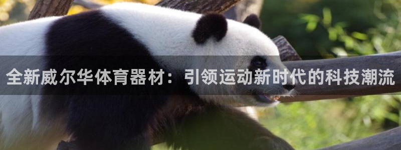 耀世第二关：全新威尔华体育器材：引领运动新时代的科技潮流