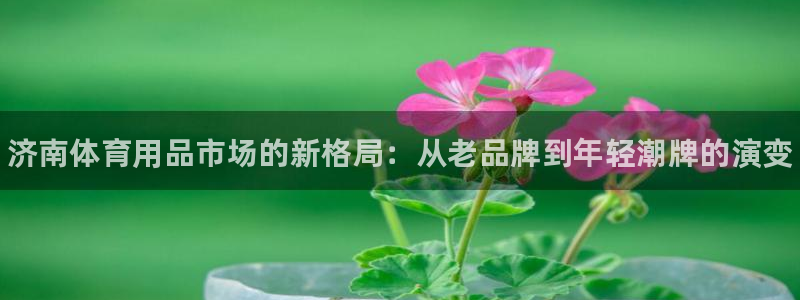 耀世娱乐挂机怎么玩：济南体育用品市场的新格局：从老品牌到年轻