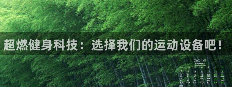 耀世微光mp3下载：超燃健身科技：选择我们的运动设备