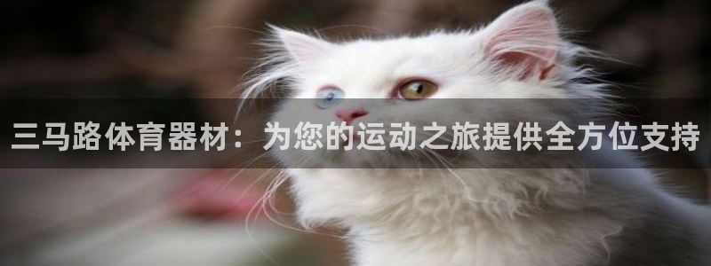 耀世集团总部在哪儿：三马路体育器材：为您的运动之旅提