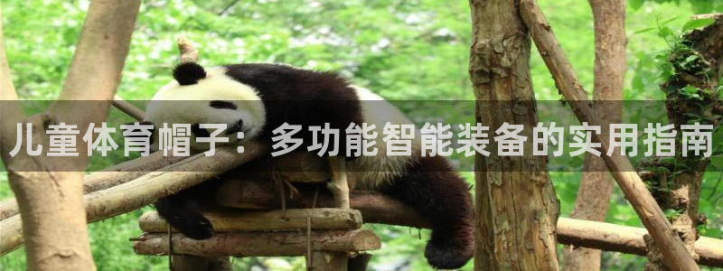 耀世娱乐官网网站入口下载：儿童体育帽子：多功能智能装