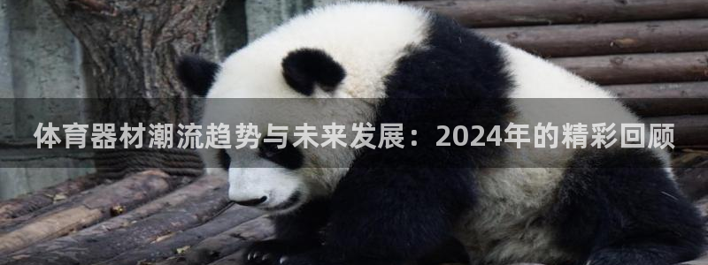 耀世雷霆下载：体育器材潮流趋势与未来发展：2024年的精彩回